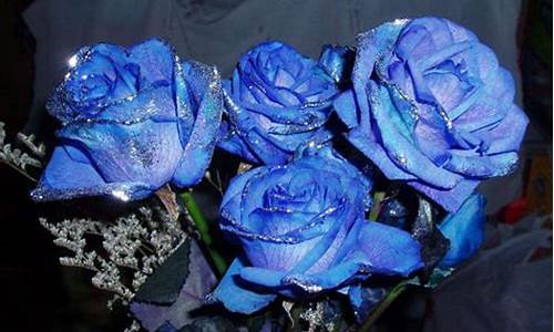 蓝玫瑰是什么意思_送花送蓝玫瑰是什么意思
