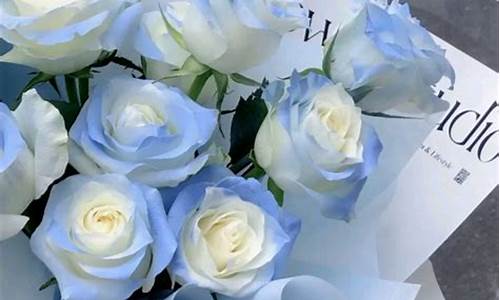 蓝色碎冰蓝玫瑰花语_蓝色碎冰蓝玫瑰花语是什么意思